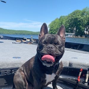 Meet your Posher, James